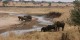 Tanzanie - 2010-09 - 338 - Tarangire - Elephants